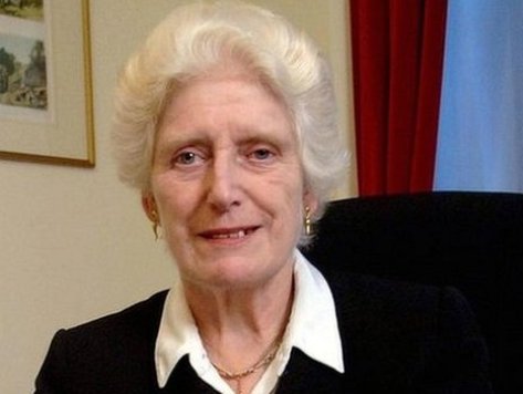 Hoofd onderzoek naar kindermisbruik stapt op