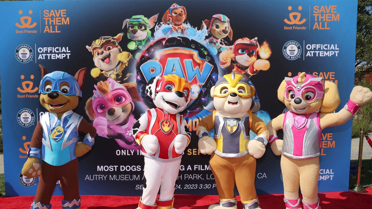 Paw Patrol evenement