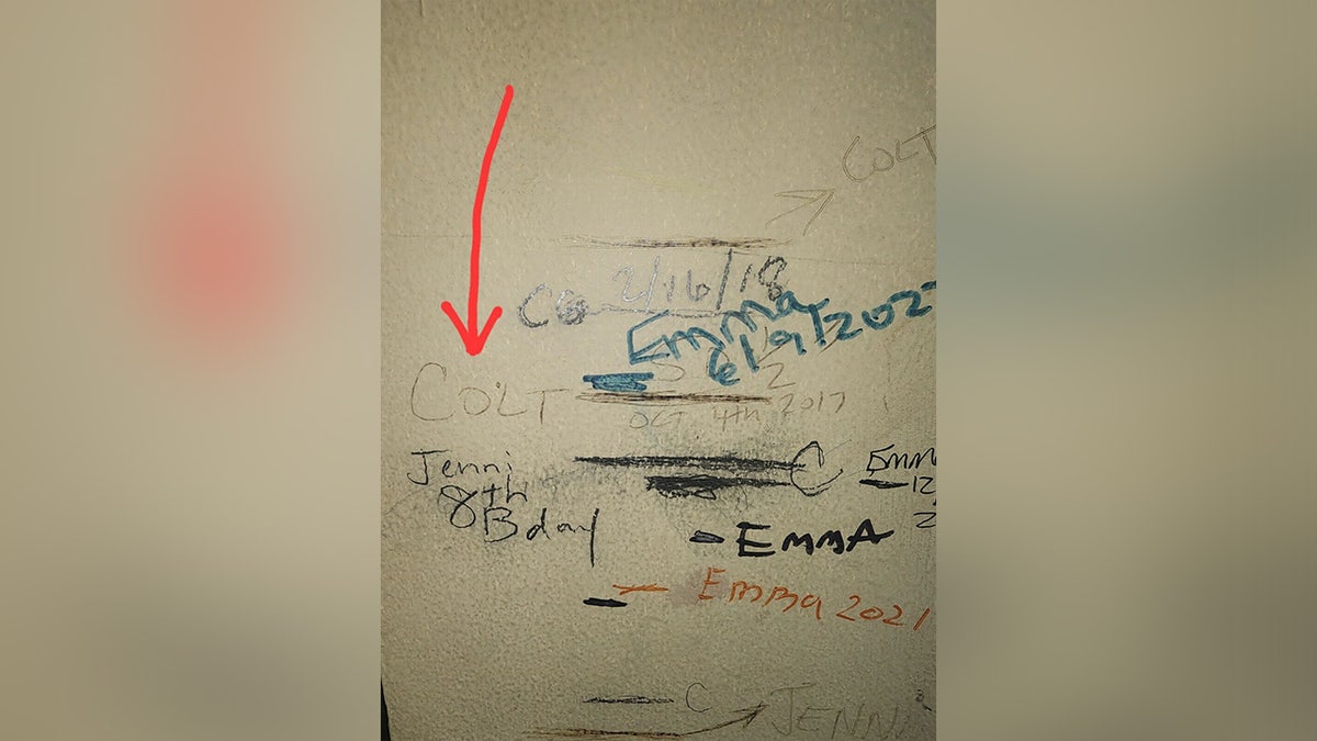 Groeigrafiek van Gray's huishouden