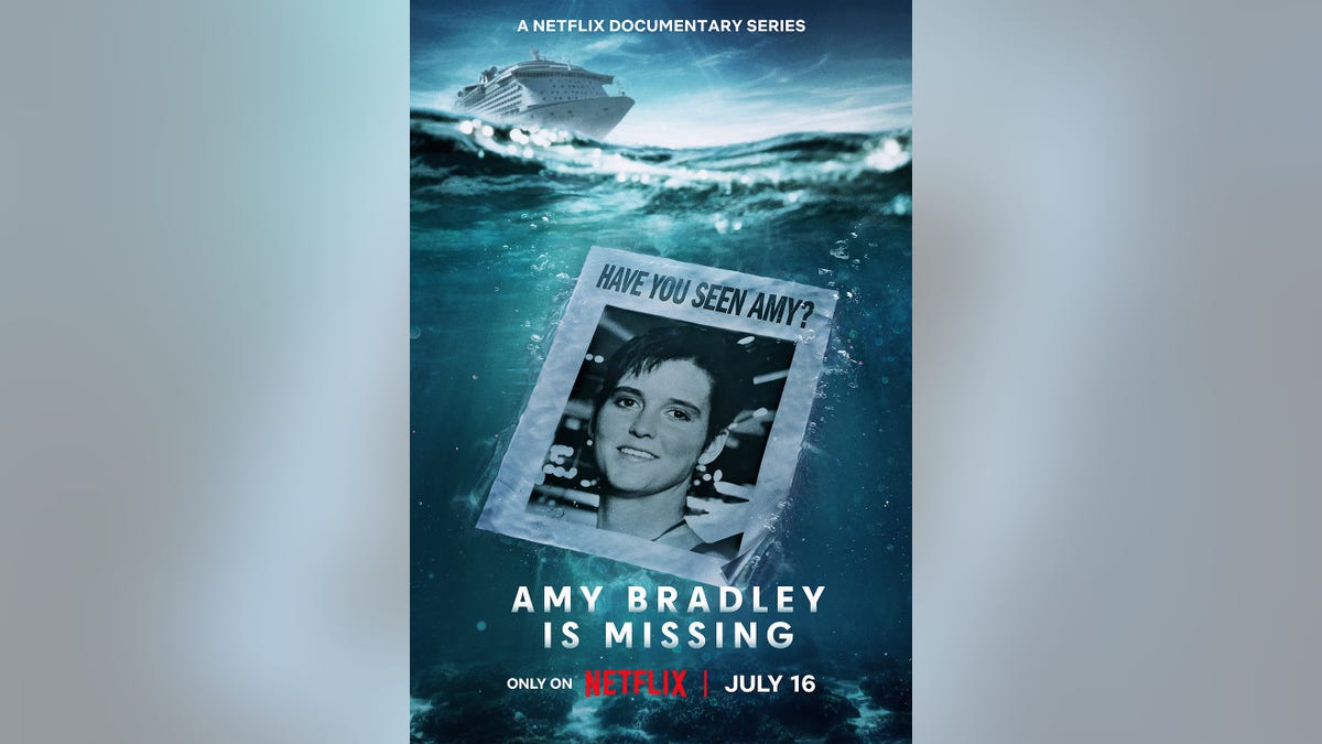 Poster voor Amy Bradley Vermist