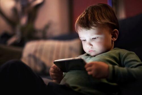 Experts waarschuwden ons voor algoritmen, maar misten de kinderen